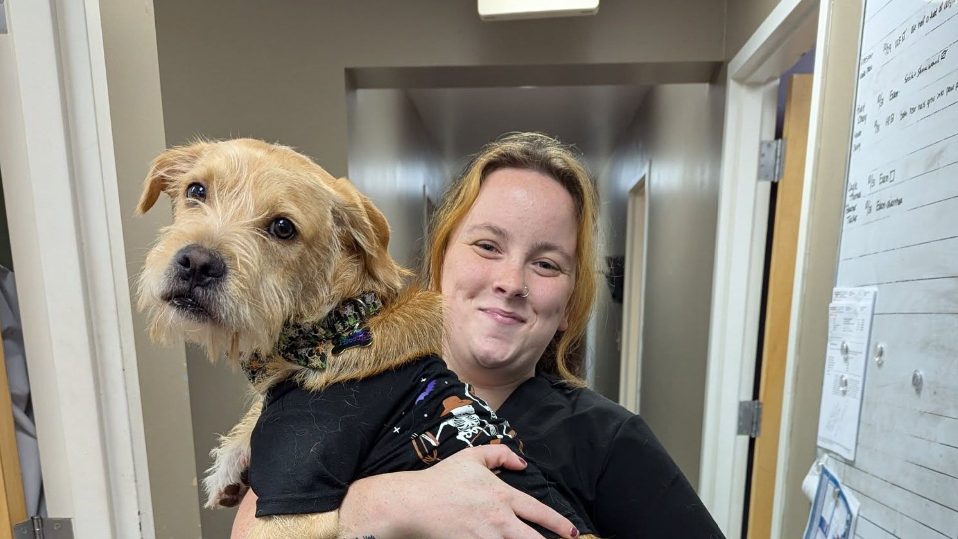 A woman cradles a dog in her arms while standing in a hospital hallway